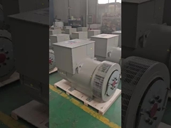 H Class 10-1000 KW 3 Phase Brushless Ac Generator Premium