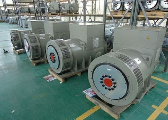 購入 携帯用永久マグネット交流発電機 350kva AC ディーゼル刺激 online manufacture