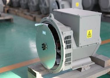 Brushless Single Phase Permanent Magnet Alternator For MTU Generator Set 14KW