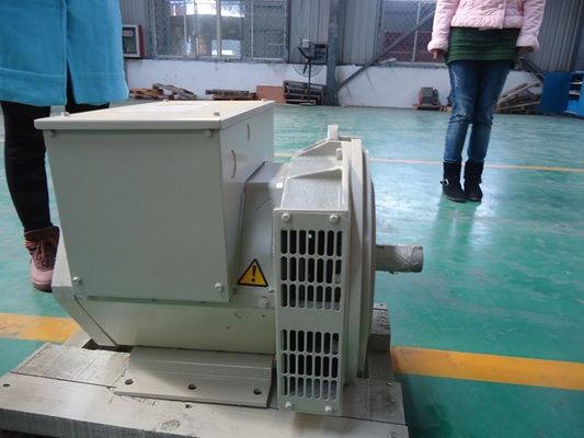 satın al Kendini çift yatak alternatör heyecanlı fırçasız jeneratör 200kw / 250kva online manufacture