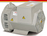 AVR SX460 16kw / 20kva Three Phase Brushless Alternator For Generator Set