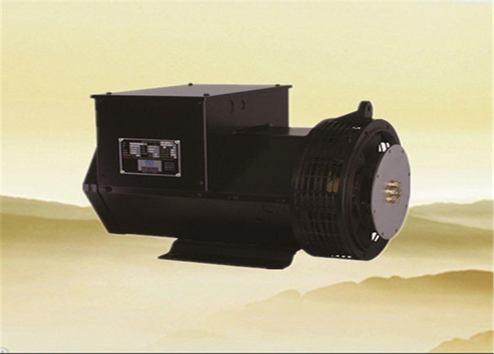 Double Bearing Three Phase Alternators 25kw 31.3kva 12 / 6 Wire