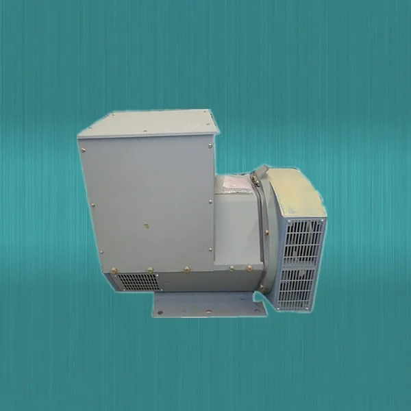 Single Stage Generator Powerful And Dependable Single Phase Generator With IP23 Protection
