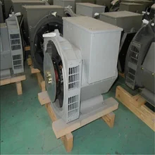100% Copper Wire Brushless AC Generator 2 3 Pitch Winding Protection Class H